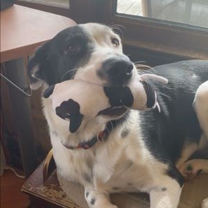 Meet your Posher, Sami